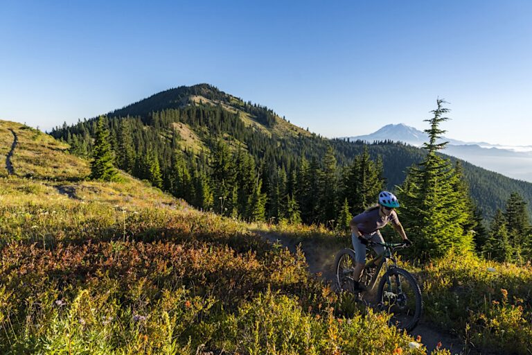 Strawberry Ridge pedal