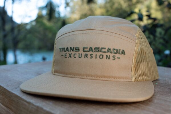TCE 5 Panel - Image 2